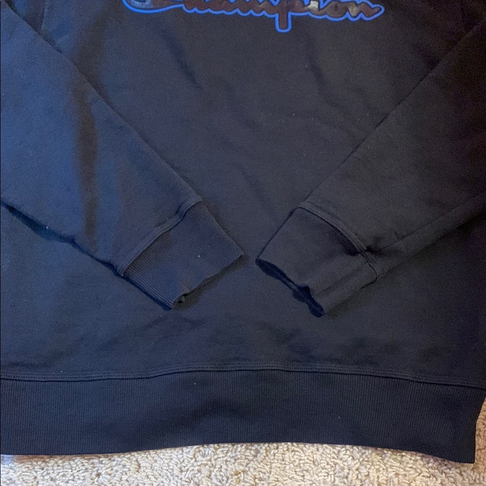 Champion Men's Medium Black Crewneck Pullover Sweater - Picture 4 of 6